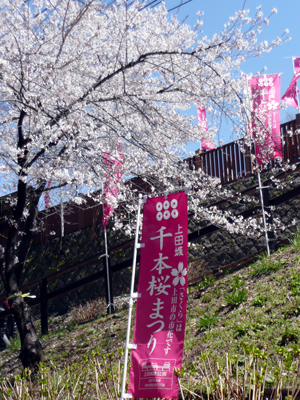 上田城　千本桜祭り